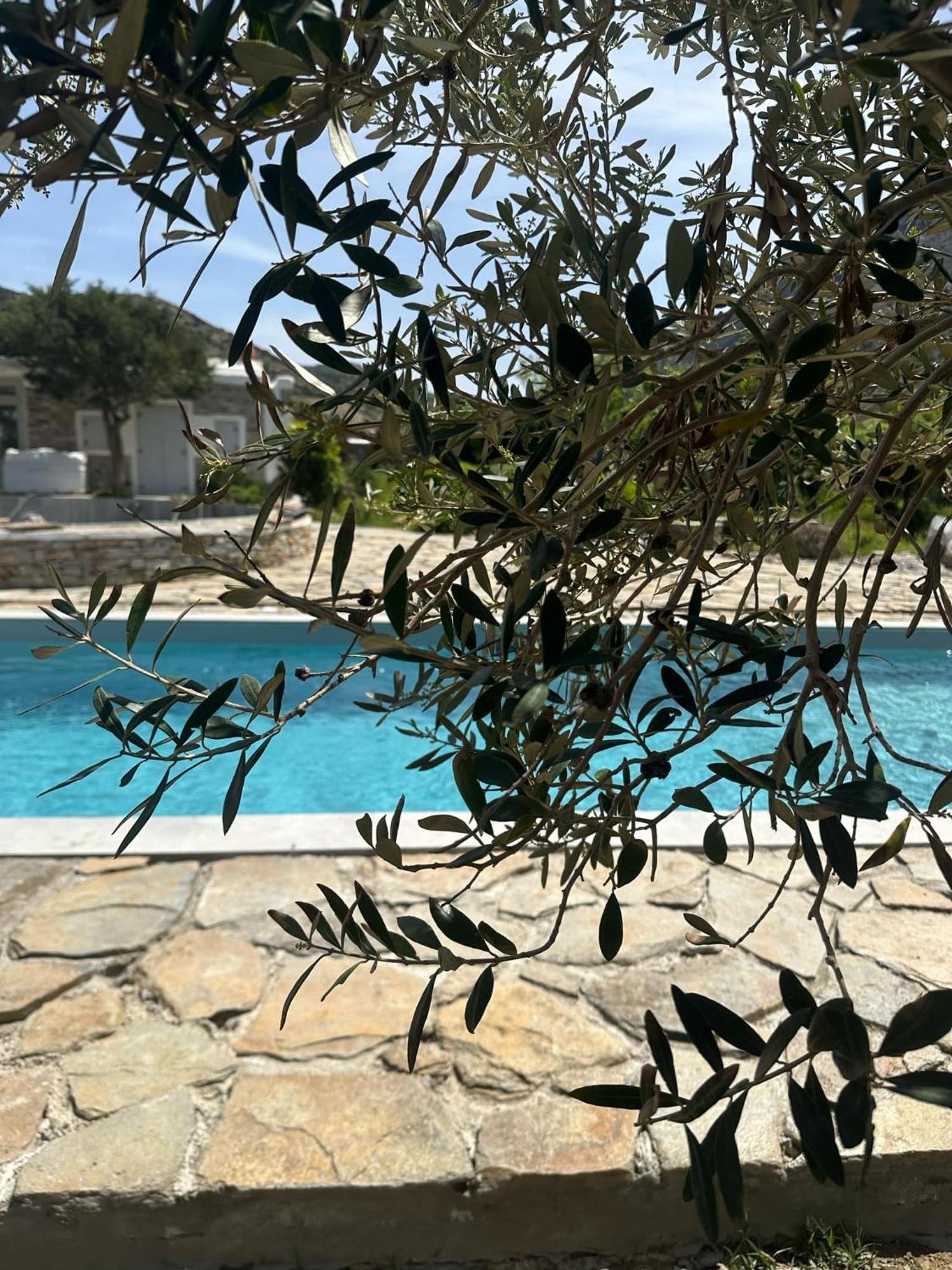 Villa River With Pool Kamares  Exterior foto